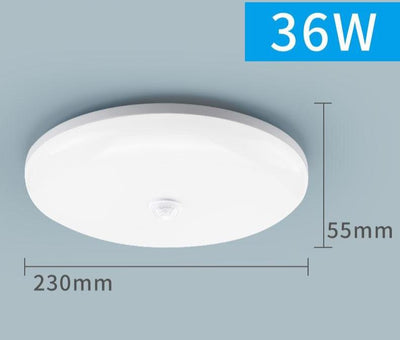 Hallways Corridor Aisle Stairways LED PIR Motion Sensor Ceiling Light