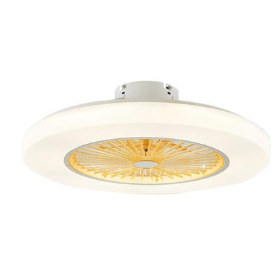 LED dimming remote control ceiling Fans lamp With Invisible Leaves