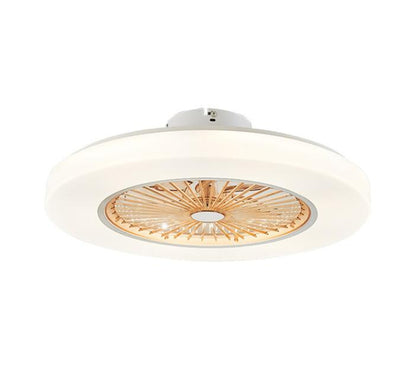 LED dimming remote control ceiling Fans lamp With Invisible Leaves