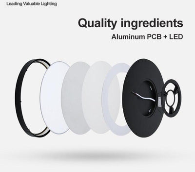 Black Shell LED Ceiling Light