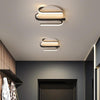 Entrance Modern LED Ceiling Lamp for home