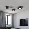 Nordic  Iron Modern LED Creative Ceiling Lighting Fixtures