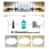 RC dimmable mounting balcony ceiling LED Light