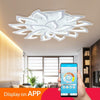 IRALAN lotus Chandelier 