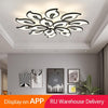 IRANLAN Bauhinia LED Ceiling Light