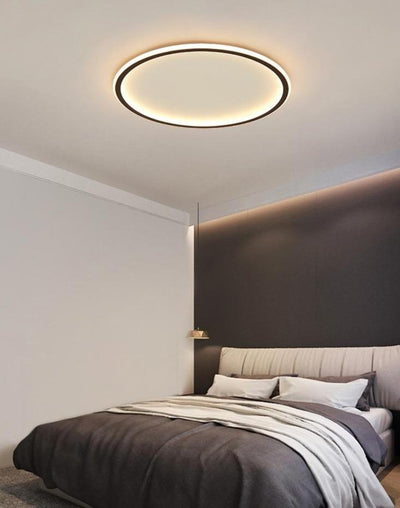 Dimmable Indoor Modern LED Ceiling fixtures