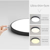 Flush Panel Remote Control LED Ceiling Modern Lighting Fixture