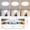 Surface Mount Remote Control Modern LED Ceiling Lighting Fixture