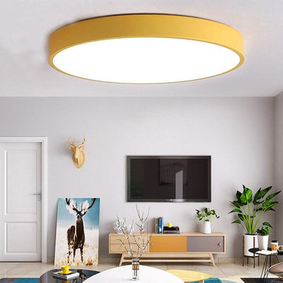 Surface mounted LED Ceiling Light Modern Fixture