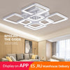 Modern LED Petal Design Ceiling Lights