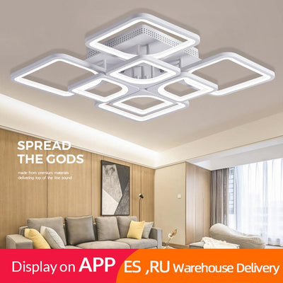 Modern LED Petal Design Ceiling Lights