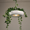 Nordic Plant Pendant Lighting Fixtures