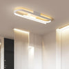 Home Entrance Modern LED Lustre Ceiling Lamp