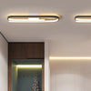 Home Entrance Modern LED Lustre Ceiling Lamp