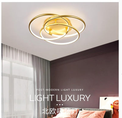 Intercircular Rings Ceiling light fixtures